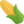 🌽